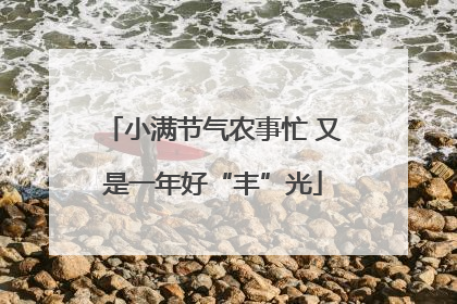 小满节气农事忙 又是一年好“丰”光
