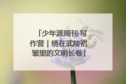 少年派周刊·写作营｜绣在武陵褶皱里的文明长卷