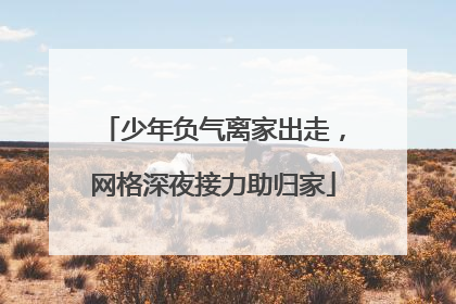 少年负气离家出走，网格深夜接力助归家