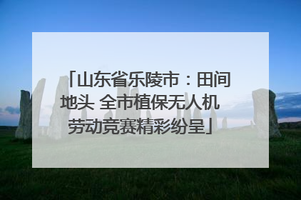 山东省乐陵市：田间地头 全市植保无人机劳动竞赛精彩纷呈