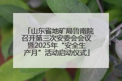 山东省地矿局鲁南院召开第三次安委会会议暨2025年“安全生产月”活动启动仪式