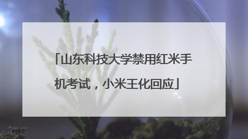 山东科技大学禁用红米手机考试，小米王化回应
