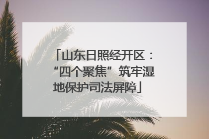 山东日照经开区：“四个聚焦”筑牢湿地保护司法屏障