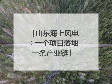 山东海上风电：一个项目落地一条产业链