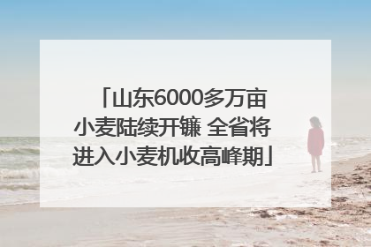 山东6000多万亩小麦陆续开镰 全省将进入小麦机收高峰期