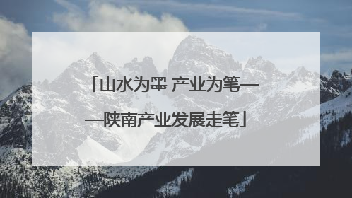 山水为墨 产业为笔——陕南产业发展走笔