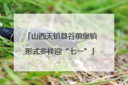 山西天镇县谷前堡镇 形式多样迎“七一”
