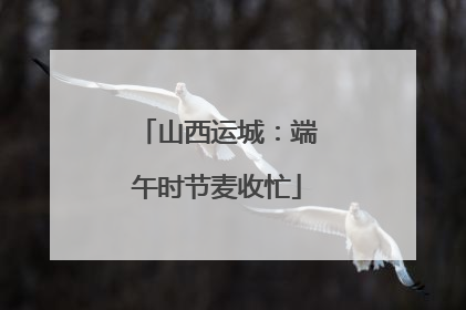 山西运城：端午时节麦收忙