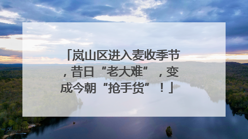 岚山区进入麦收季节，昔日“老大难”，变成今朝“抢手货”！