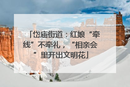 岱庙街道：红娘“牵线”不牵礼，“相亲会”里开出文明花