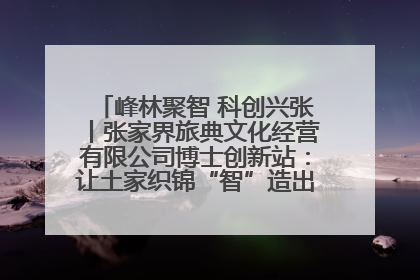 峰林聚智 科创兴张丨张家界旅典文化经营有限公司博士创新站：让土家织锦“智”造出非遗新传奇