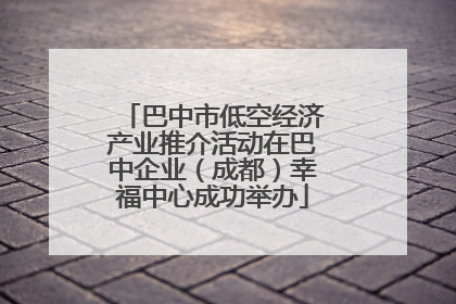 巴中市低空经济产业推介活动在巴中企业（成都）幸福中心成功举办