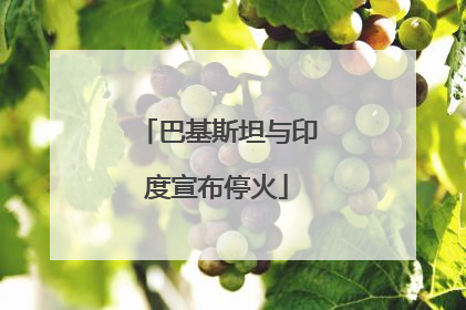 巴基斯坦与印度宣布停火