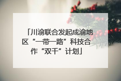 川渝联合发起成渝地区“一带一路”科技合作“双千”计划