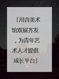 川音美术馆双展齐发，为青年艺术人才提供成长平台