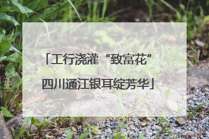 工行浇灌“致富花” 四川通江银耳绽芳华