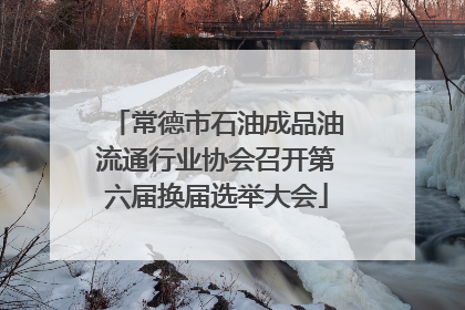 常德市石油成品油流通行业协会召开第六届换届选举大会