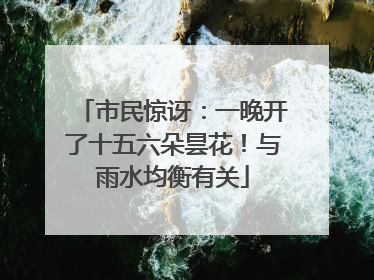 市民惊讶：一晚开了十五六朵昙花！与雨水均衡有关