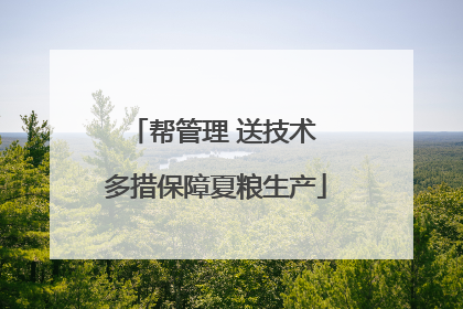 帮管理 送技术 多措保障夏粮生产