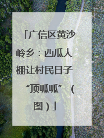 广信区黄沙岭乡：西瓜大棚让村民日子“顶呱呱”（图）