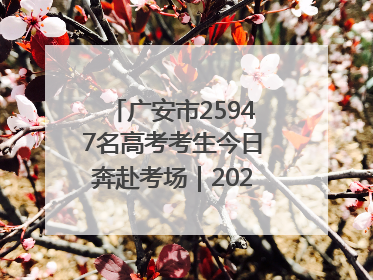 广安市25947名高考考生今日奔赴考场｜2025四川高考