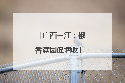 广西三江：椒香满园促增收