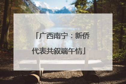 广西南宁：新侨代表共叙端午情
