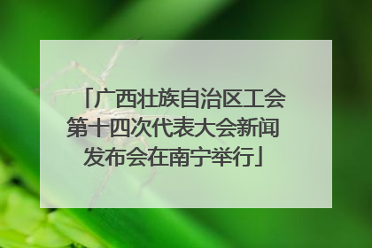广西壮族自治区工会第十四次代表大会新闻发布会在南宁举行