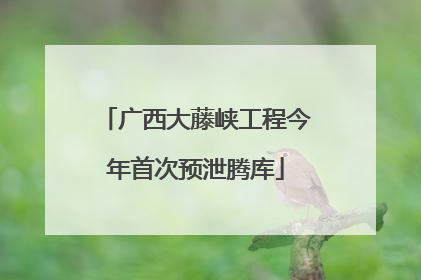 广西大藤峡工程今年首次预泄腾库