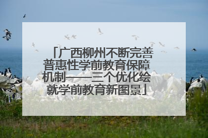 广西柳州不断完善普惠性学前教育保障机制——三个优化绘就学前教育新图景