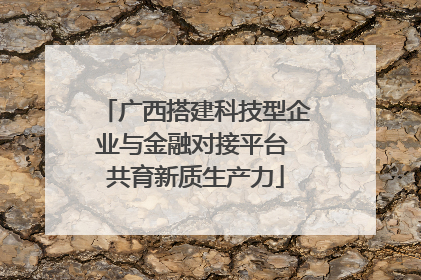 广西搭建科技型企业与金融对接平台 共育新质生产力