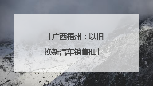 广西梧州：以旧换新汽车销售旺