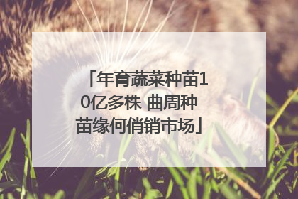 年育蔬菜种苗10亿多株 曲周种苗缘何俏销市场