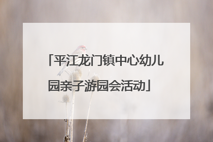 平江龙门镇中心幼儿园亲子游园会活动