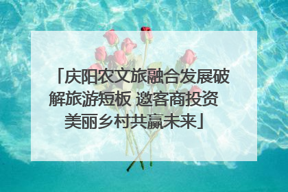 庆阳农文旅融合发展破解旅游短板 邀客商投资美丽乡村共赢未来