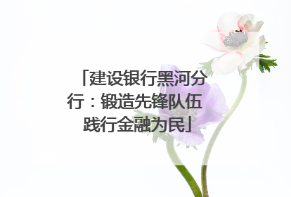 建设银行黑河分行：锻造先锋队伍 践行金融为民