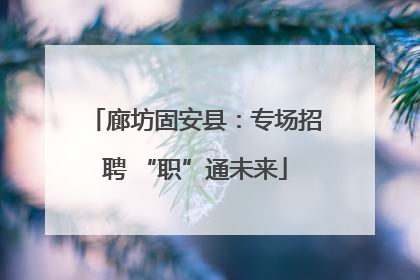 廊坊固安县：专场招聘 “职”通未来
