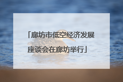 廊坊市低空经济发展座谈会在廊坊举行
