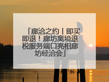 廊洽之约丨即买即退！廊坊离境退税服务端口亮相廊坊经洽会