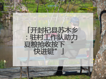 开封杞县苏木乡：驻村工作队助力夏粮抢收按下 “快进键”