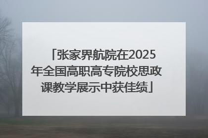 张家界航院在2025年全国高职高专院校思政课教学展示中获佳绩