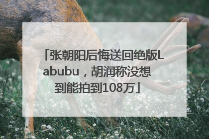 张朝阳后悔送回绝版Labubu，胡润称没想到能拍到108万