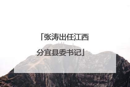 张涛出任江西分宜县委书记