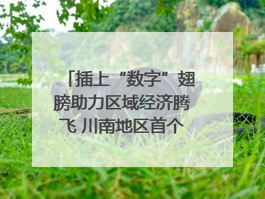 插上“数字”翅膀助力区域经济腾飞 川南地区首个智算中心启动