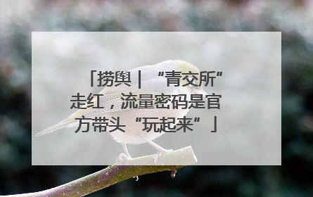 捞舆｜“青交所”走红，流量密码是官方带头“玩起来”