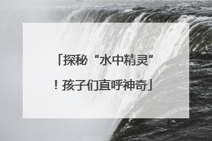 探秘“水中精灵”！孩子们直呼神奇