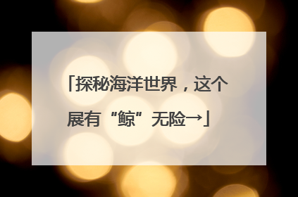 探秘海洋世界，这个展有“鲸”无险→