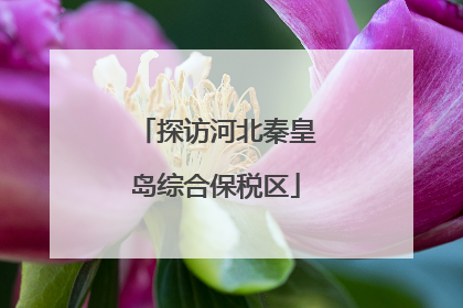 探访河北秦皇岛综合保税区