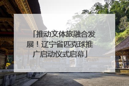 推动文体旅融合发展！辽宁省匹克球推广启动仪式启幕