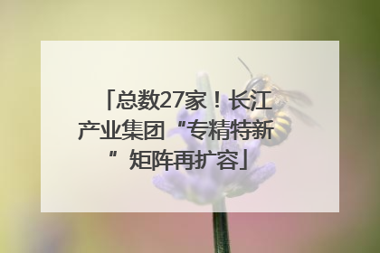 总数27家！长江产业集团“专精特新”矩阵再扩容